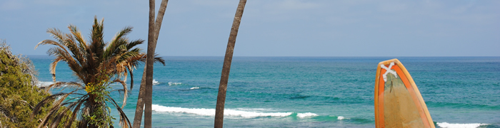 Nine Palms Properties For Sale East Cape